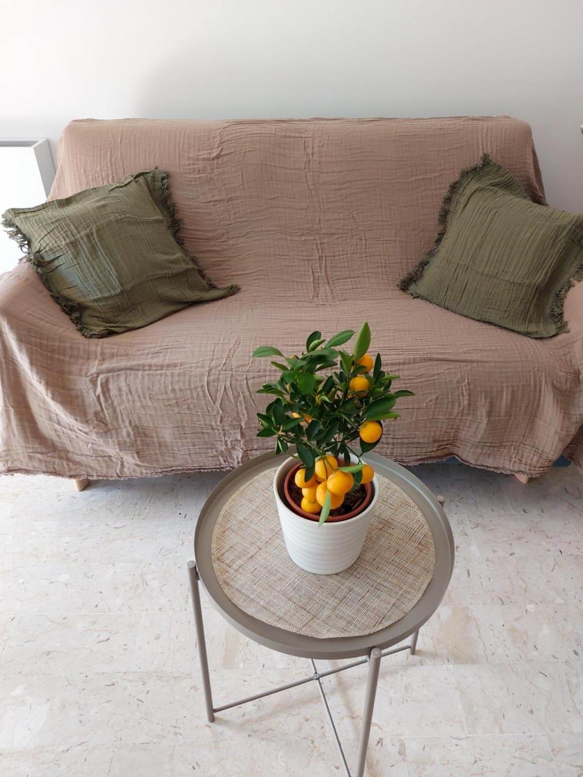 Appartement 2P Renove Avec Terrasse Au Port De ניס מראה חיצוני תמונה